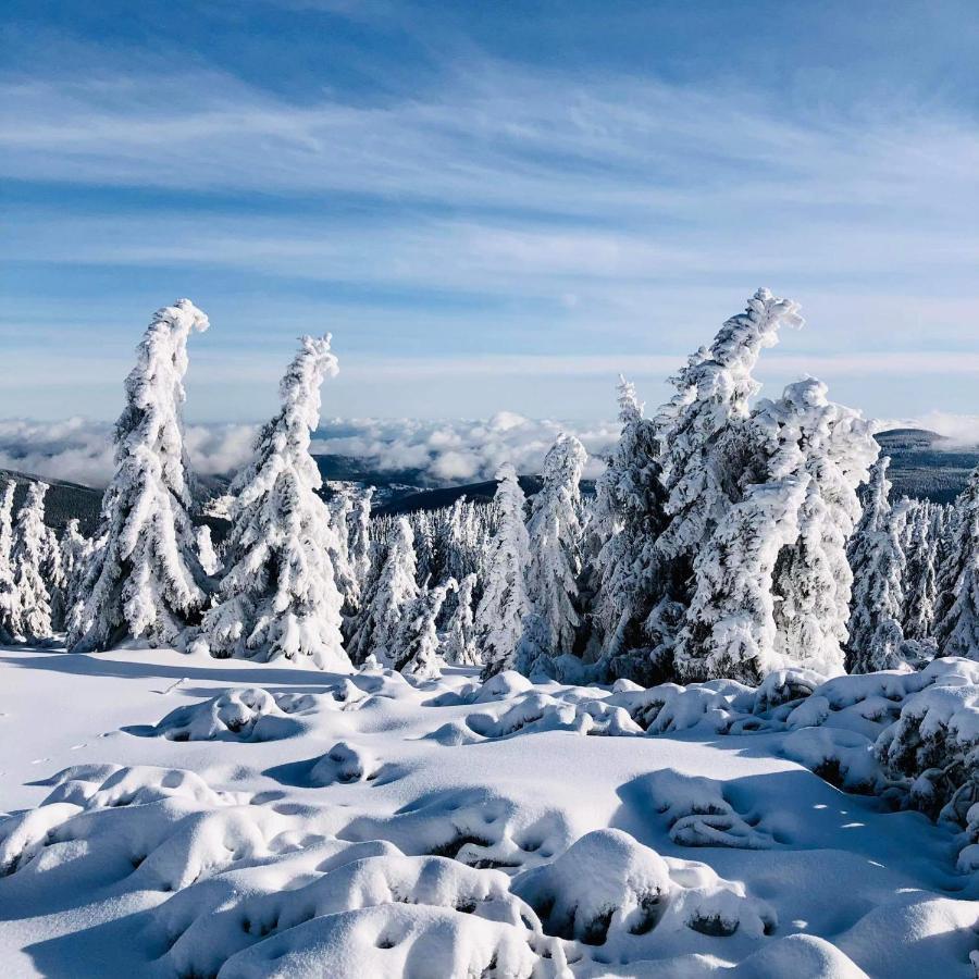 Liška - Horalka,