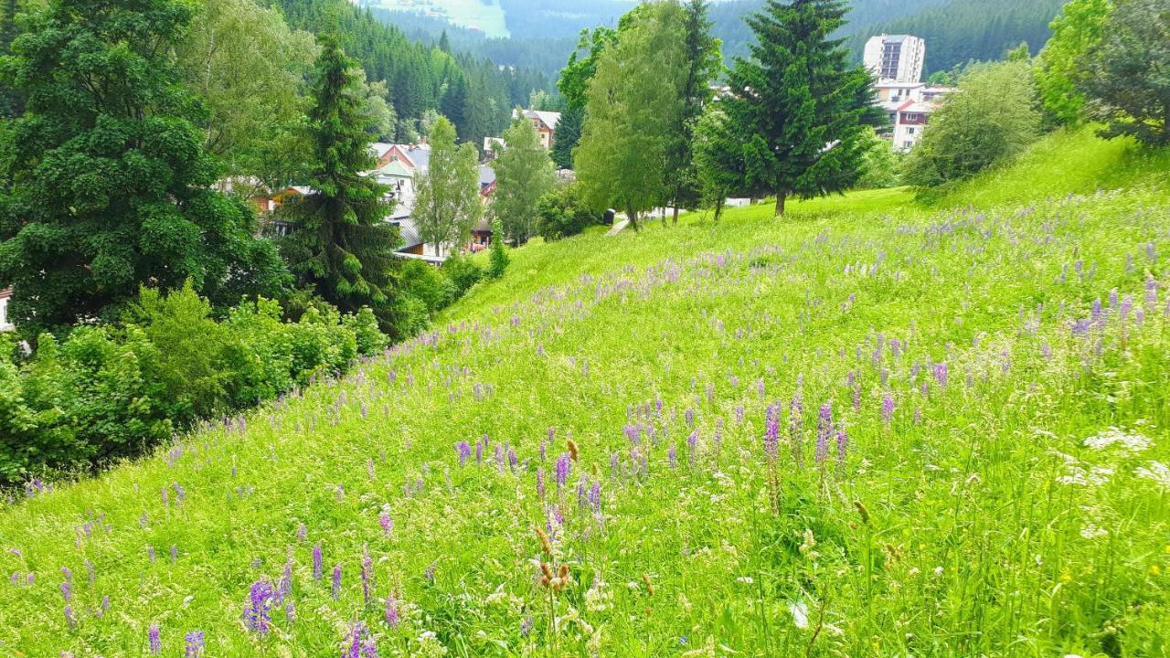 Liška - Horalka, *